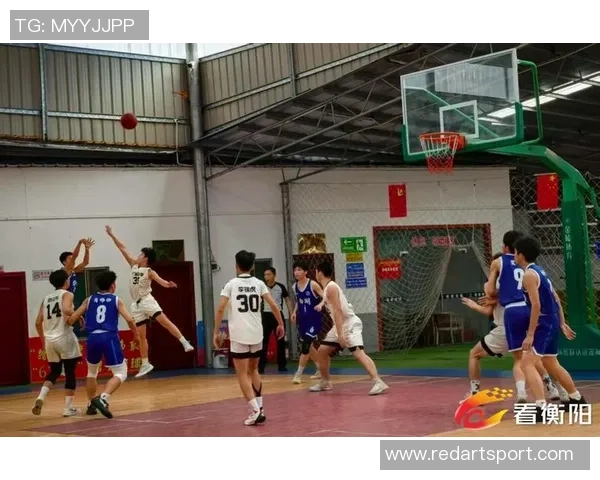 浙江队奋力拼搏展现风采 多项战术创新助力球队成长