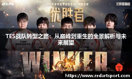球速体育平台登录入口