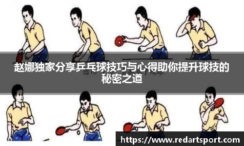 球速体育
