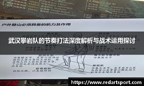 球速体育官方