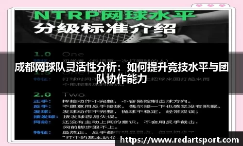 球速体育官方