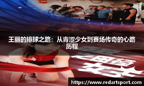 球速体育平台登录入口