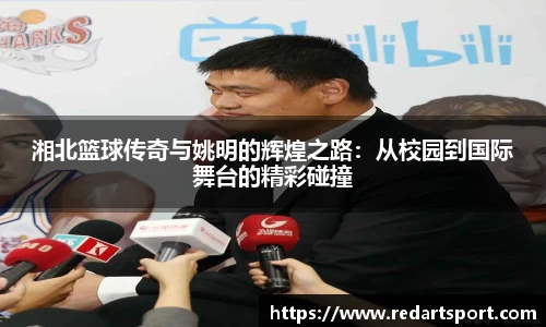 球速体育平台登录入口